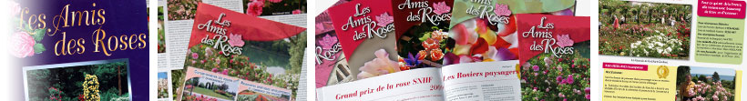 Archives de la revue Les Amis des Roses