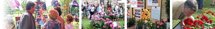 Activités de la Société Française des Roses