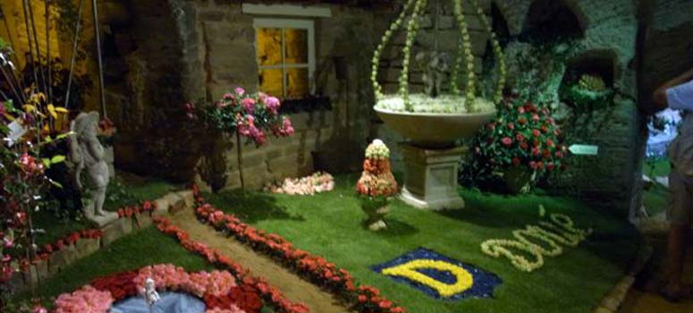La Journées de la Rose à Doué La Fontaine