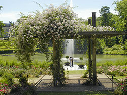 Parc Floral de la Source, Orlans