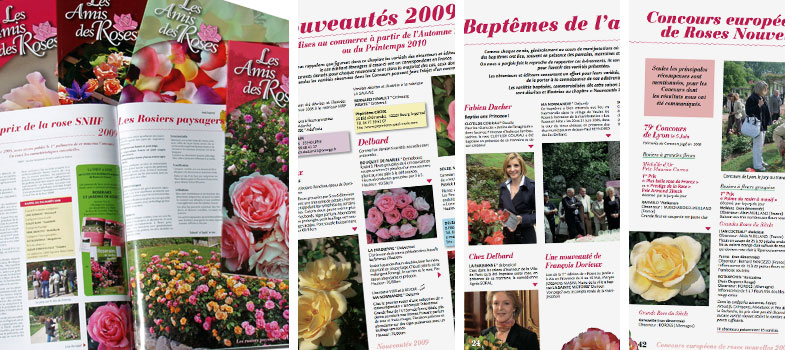 Archives de la Société Française des Roses