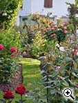 Le Jardin des Roses de Mr/Mme MEJEARD