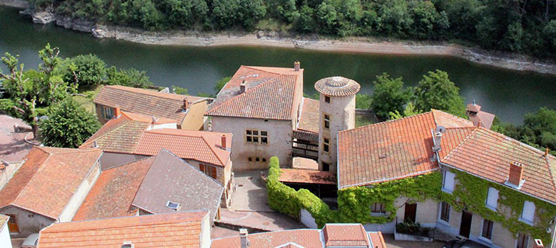 La fte des Plantes  Saint Jean - Saint Maurice sur Loire