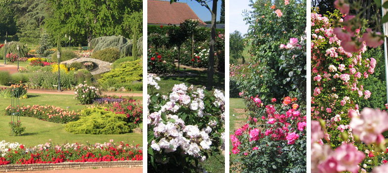 Parcs et jardins de roses