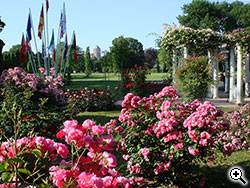 Roseraie de concours du Parc de la Tte d'Or